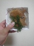 080229写真2.jpg