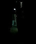 080317写真3.jpg