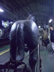 080409写真3.jpg